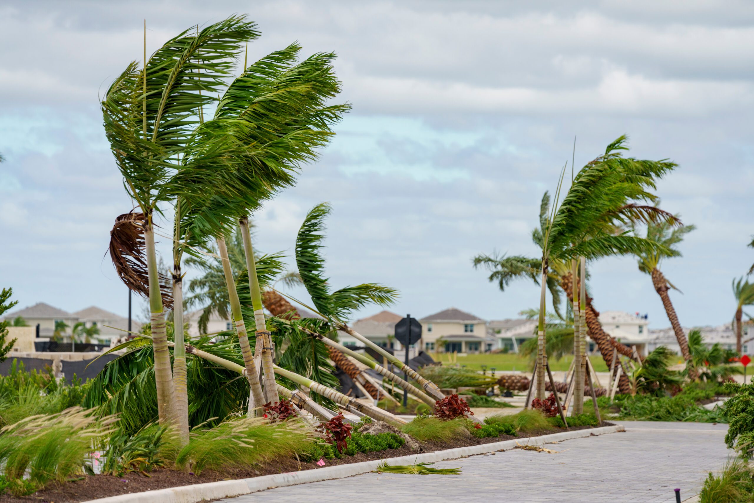 Florida Tornado Insurance Claims: How CMS Law Group Fights Denied or Underpaid Claims