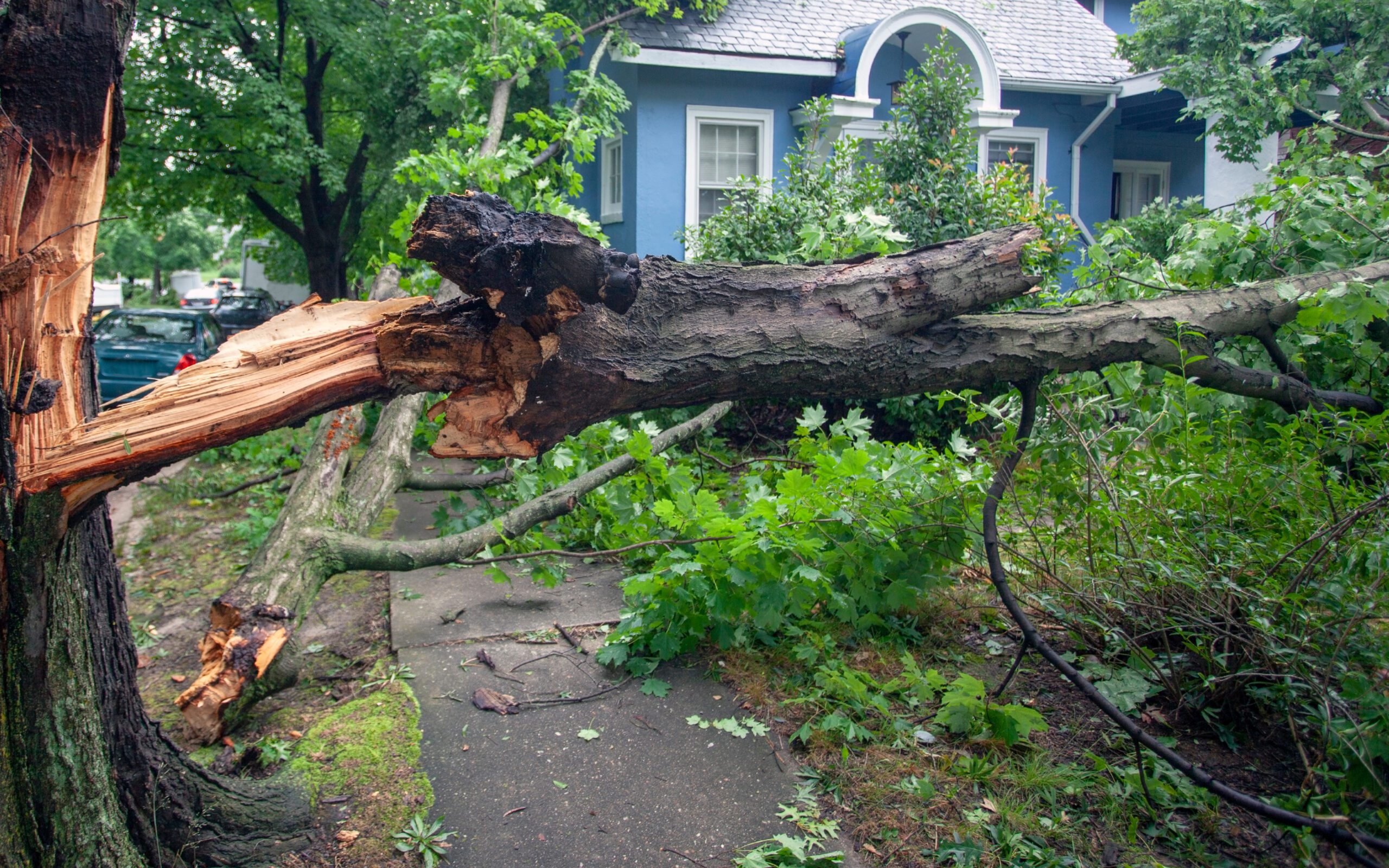 Protect Your Rights After the Storm: Hire a Hurricane Damage Lawyer First