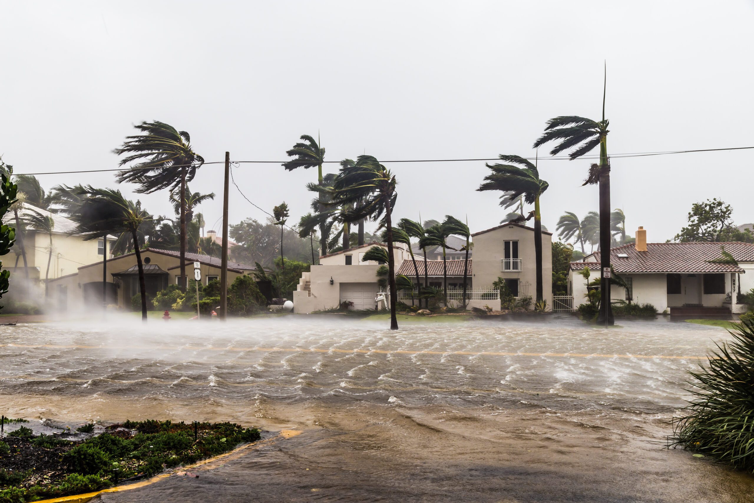 Sarasota Hurricane Attorney: Why CMS Law Group Maximizes Your Insurance Claim Recovery