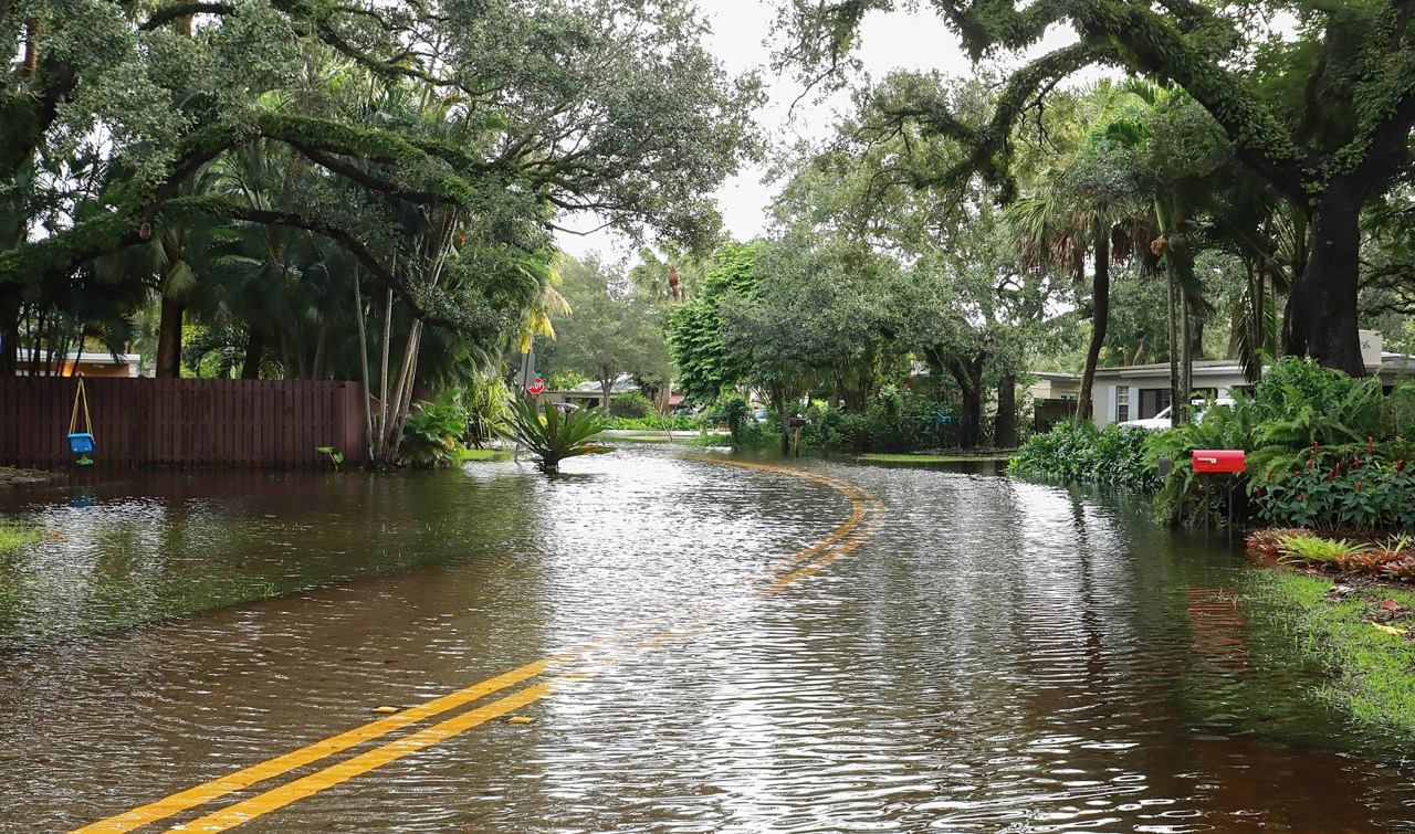 Types of Property Damage in Boynton Beach Florida Homeowners Should Know