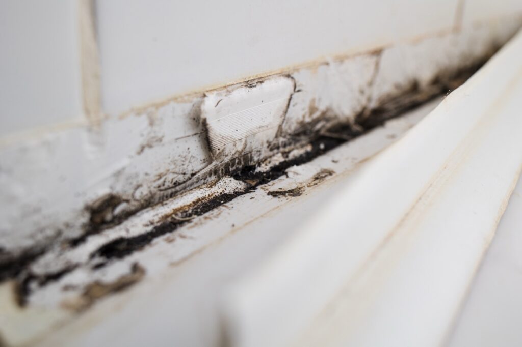 Can You File a Claim for Hidden Water Damage in Florida?